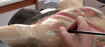 Reintegración cromática, espalda