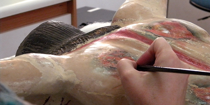 Reintegración cromática, espalda