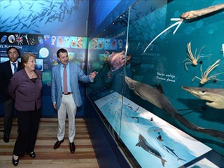 Presidenta Bachelet visita la nueva museografía.