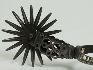 Espuela chilena: origen y evolución