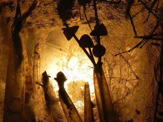 Detalle obra Zinnia Ramírez