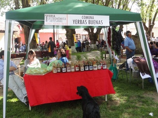 Primera Feria Regional Gastronómica y Artesanal, Yerbas Buenas 2013