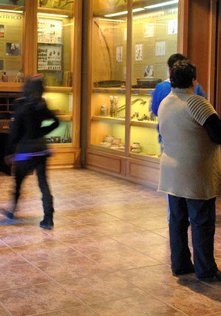 Sala Los Naturalistas