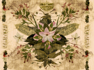 Detalle de obra Beatrice Glow