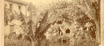 Casa Quinta de Vicuña Mackenna