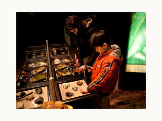 Museo de Historia Natural de Concepción