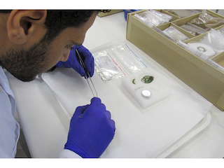 Pasante evaluando objetos metálicos  procedentes del Sitio Millahuillin-1, región de Los Ríos (Archivo CNCR, Reyes, B. 2018)