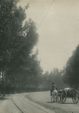 Parque Cousiño, fotografía de Obder Heffer