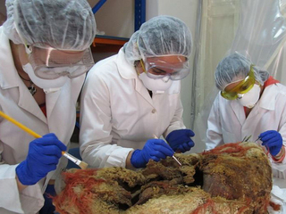 Practicantes durante su trabajo