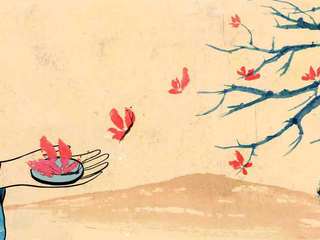 Libro "Los espejos del Japón"