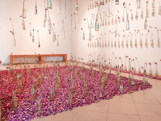 Jingjing Lin, El método de la paradoja 2011