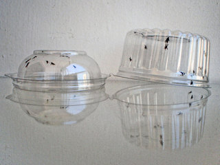 Detalle, obra de Rosario Carmona