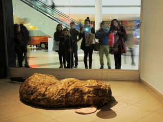 Detalle de obra de Sebastián Silvat. Foto de Claudio Quiroz.