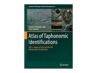 detalle de la portada del libro