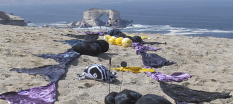 Obra Bichos al vacío, una de las ganadoras