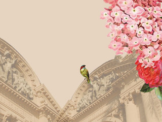 Cursos área de Mediación y educación